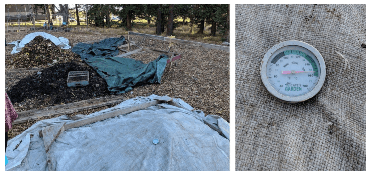 compost