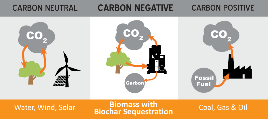 Carbon Cycles