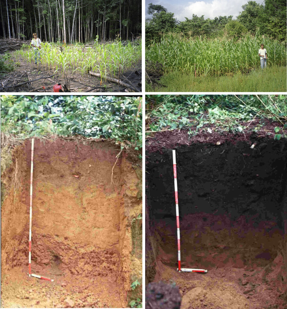 Images of Tewrra Preta soil cross sec tions