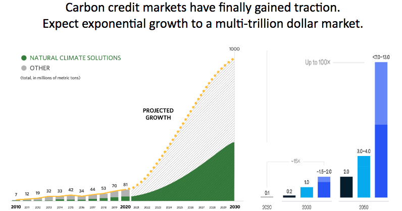 carbon market graphs