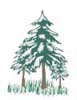univuser_international-renewableenergy-techology-institute-of-minnesota