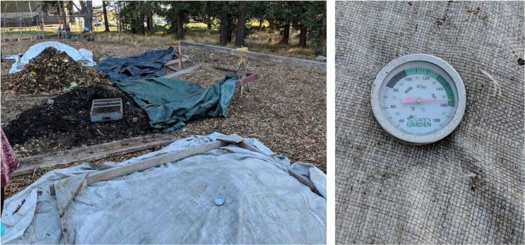image compost pile next to image of thermometer reading 154 deg F