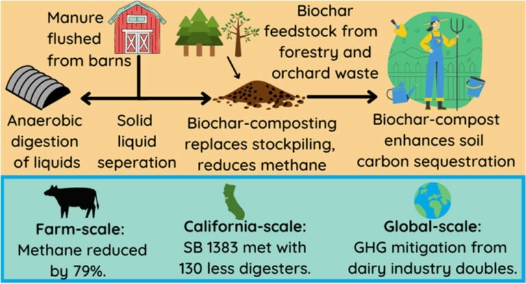 Infographic showing biochar benefits in livestock farming with 79% methane reduction meeting california SB 1383 with 130 less digesters and doubling of dairy industry GHG mitigation