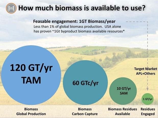slide showing How much biomass is available to use